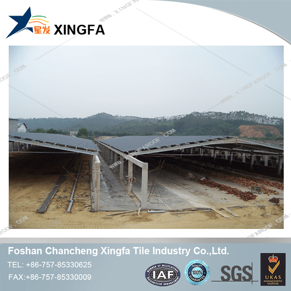 Xingfa  Array image99