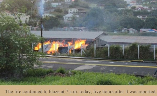 Xingfa  Array image96